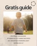 GRATIS GUIDE: Cellernas krockkudde