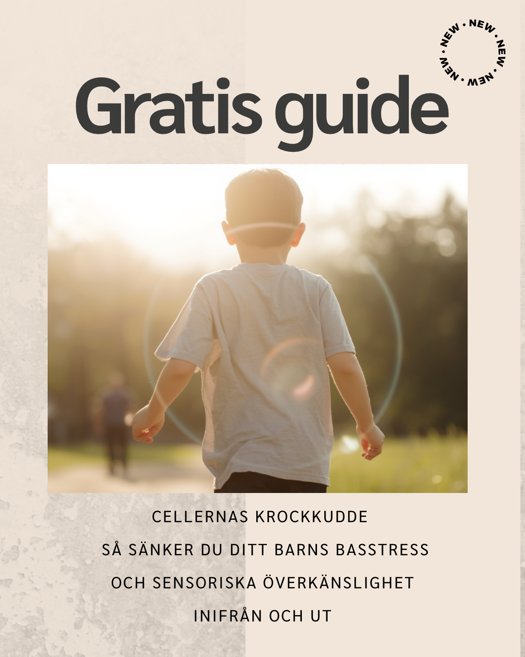 GRATIS GUIDE: Cellernas krockkudde