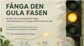 💛 FÅNGA DEN GULA FASEN  INNAN DET BLIR FÖR MYCKET