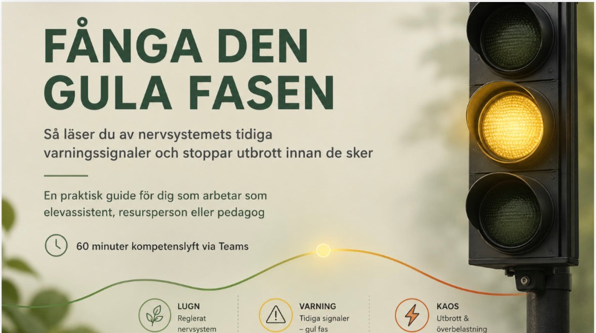 💛 FÅNGA DEN GULA FASEN  INNAN DET BLIR FÖR MYCKET